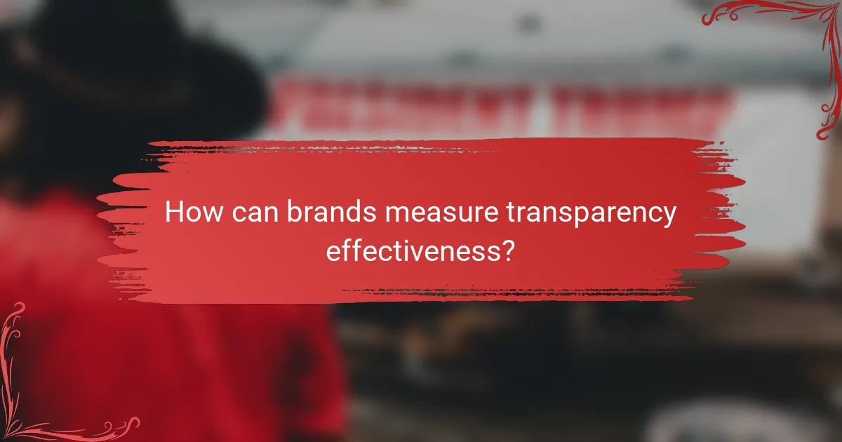 How can brands measure transparency effectiveness?