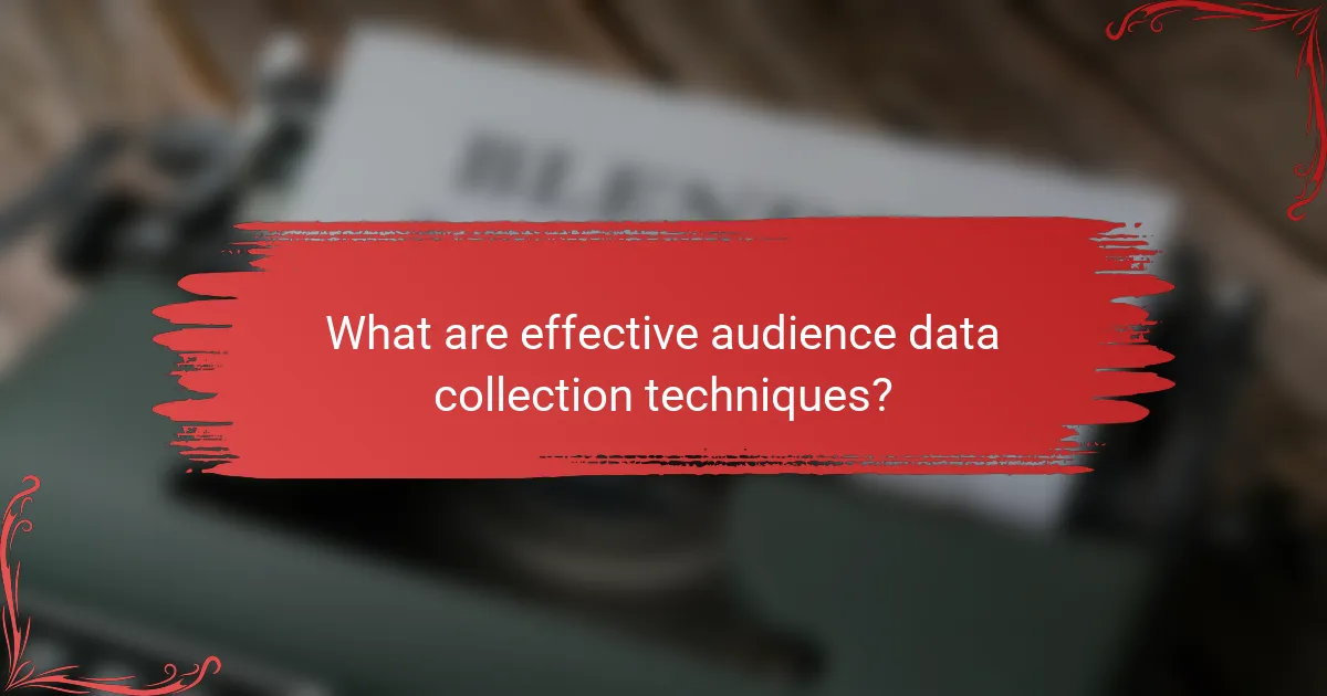 What are effective audience data collection techniques?